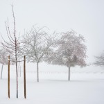 1_foto-6