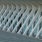 P1050689-bis