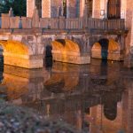 20190404-Coloma_019-e1620913662906