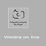 weldra-online